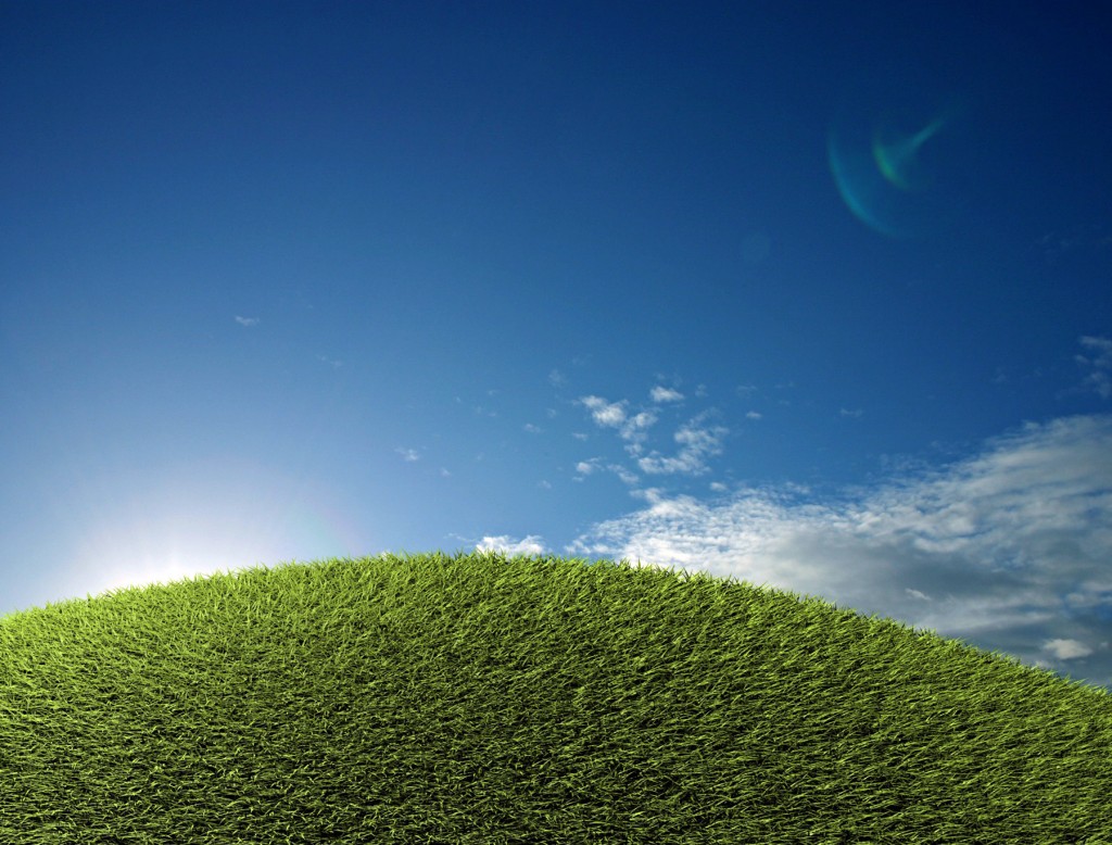 stockvault-green-field98238